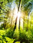 padure   shutterstock 393414121 jpg