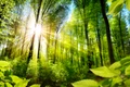 padure   shutterstock 393414121 jpg