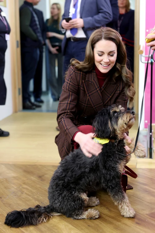 Prințesa Kate, ianuarie 2025, Profimedia jpg
