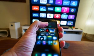 pexels jakubzerdzicki 35490407 jpg