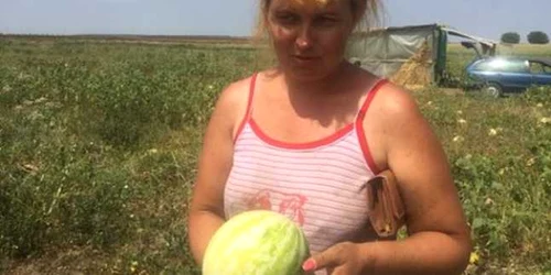 Agricultorii susţin că 70% din recoltă a fost distrusă de caniculă