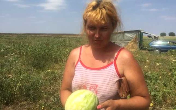 Agricultorii susţin că 70% din recoltă a fost distrusă de caniculă