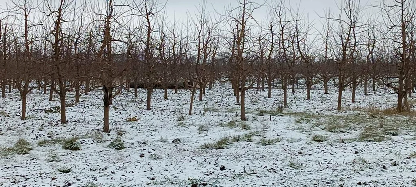 În nordul Republicii Moldova a fost găsită o rachetă. FOTO:Mai.gov.md