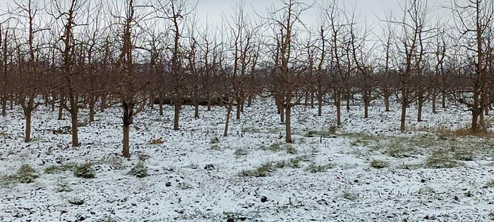 În nordul Republicii Moldova a fost găsită o rachetă. FOTO:Mai.gov.md