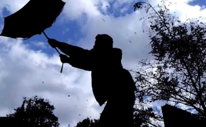 Vânt puternic în județul Cluj FOTO: Arhivă, Adevărul