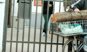 labisericamare89789 jpeg