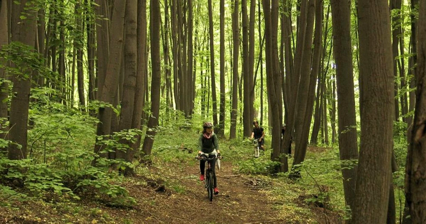 Doamnele şi domnişoarele sunt invitate la un eveniment de turism pe bicicletă organizat special pentru ele, la Dealu Mare. FOTO cyclingromania.ro