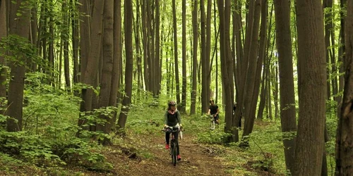 zane pe bicicleta foto cyclingromania.ro