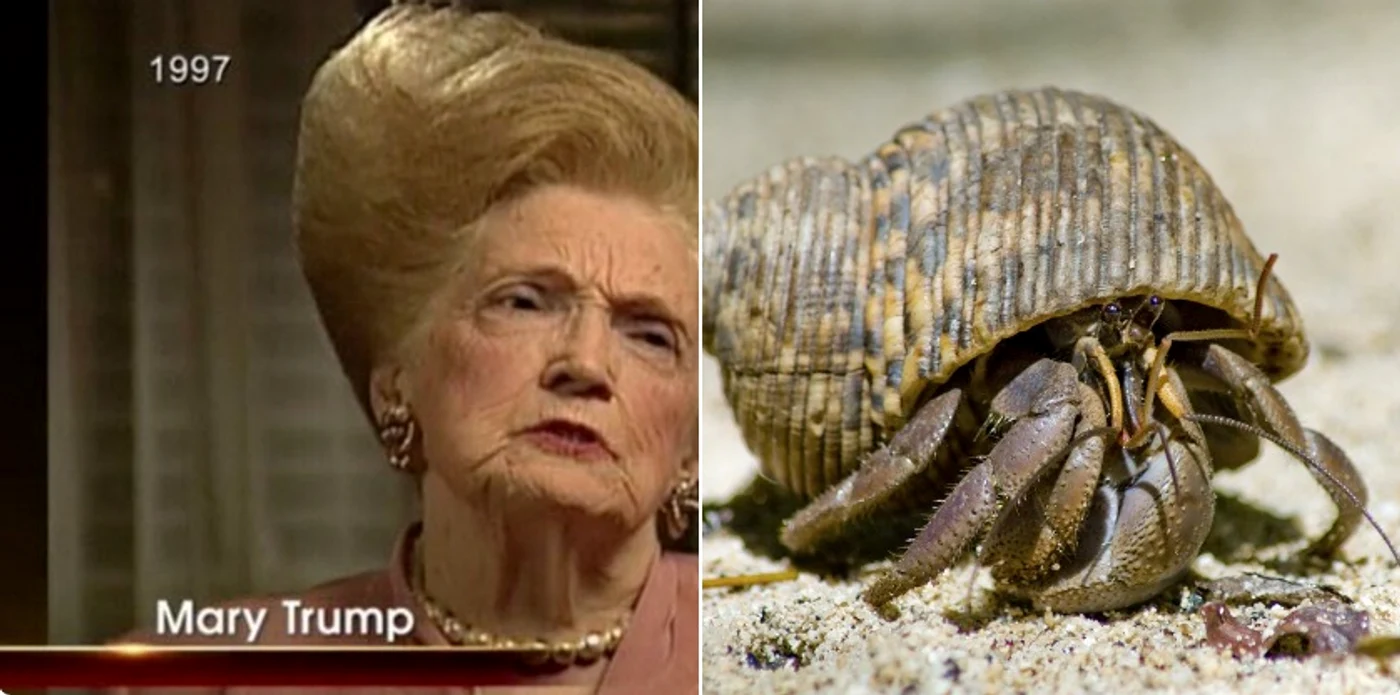 "Mama lui Donald Trump arată ca un crab cu cochilie"