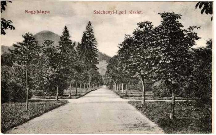 Parcul Regina Maria din Baia Mare, in perioada interbelica Sursa foto: Baia Mare Vintage FB