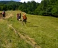 misiune de cautare. foto salvamont maramures 