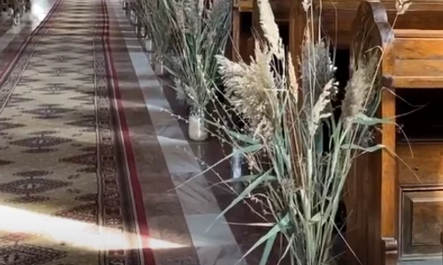 Biserica romano catolică din Baia Sprie a fost decorată cu plante diafane png