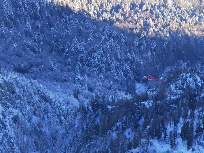 Bărabatul rătăcit nu este de găsit, dei este un cunoscător al zonei FOTO Salvamont