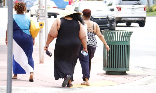 taniadimas obesity 993126 jpg