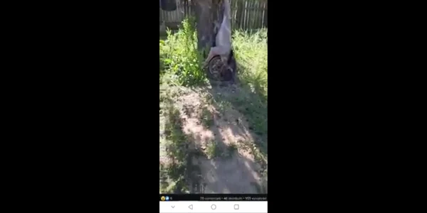 5ec8dc595163ec42710fc15c jpg