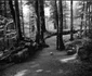 Sarmizegetusa Regia 1964  Foto Szabó Tamás, Muzeul Etnografic al Transilvaniei (33) jpg