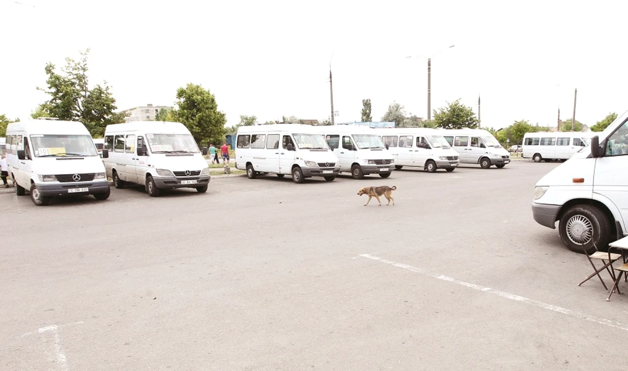 Şoferii de maxi-taxi continuă şi astăzi greva începută de marţi Foto: Tudor Iovu