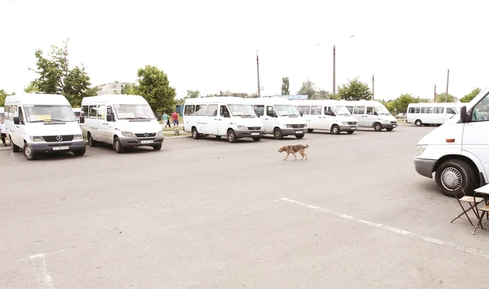 Şoferii de maxi-taxi din Chişinău riscă să rămână fără activitate Foto: Tudor Iovu