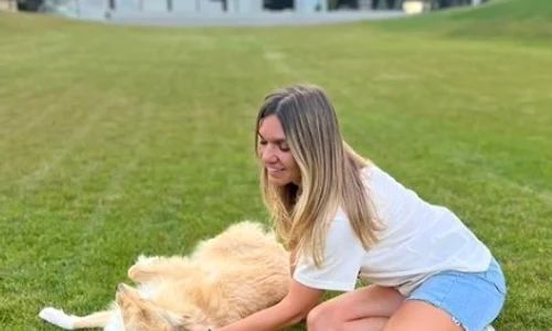 casa simona halep 2 jpg