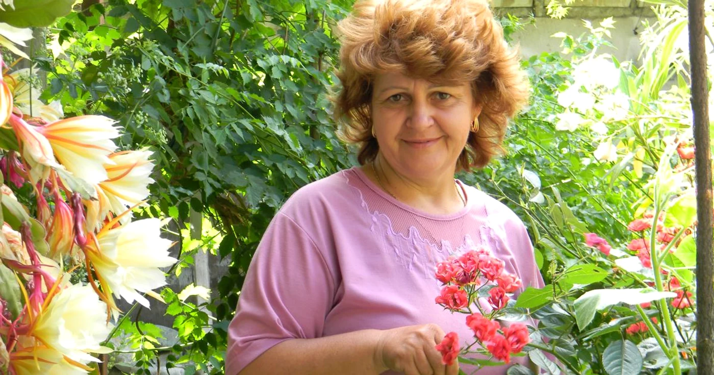 Medicul Turturica Hortopan 