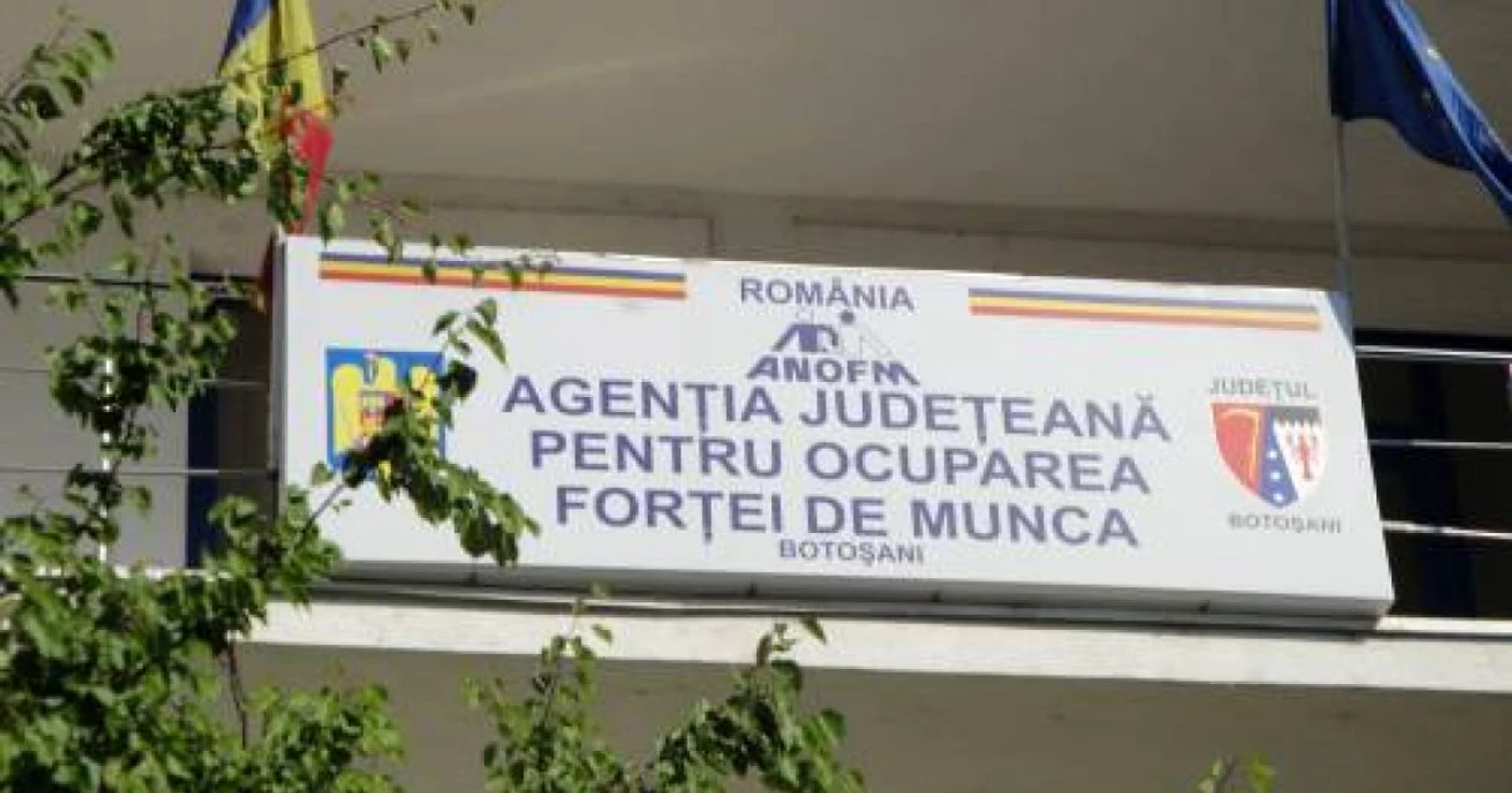 Statul le poate oferi o indemnizaţie lunară de 250 lei 