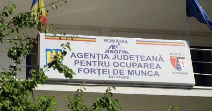Statul le poate oferi o indemnizaţie lunară de 250 lei 