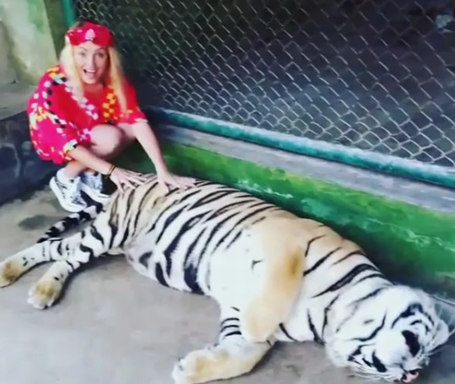 Rolla Sparks se află în Thailanda