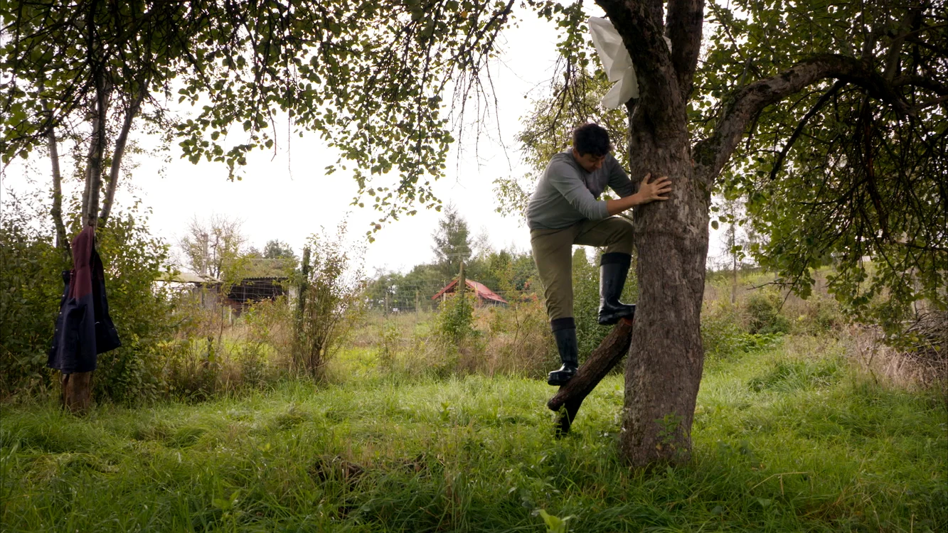 Mihai Dragolea a început să planteze o pădure. FOTO: Arhivă personală