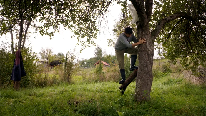 Mihai Dragolea a început să planteze o pădure. FOTO: Arhivă personală