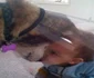 Fiindcă prietenul lui e prea trist pentru că poartă zgarda de protecţie, copilul din imagine încearcă să l înveselească  jpeg