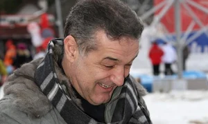 gigi becali jpeg