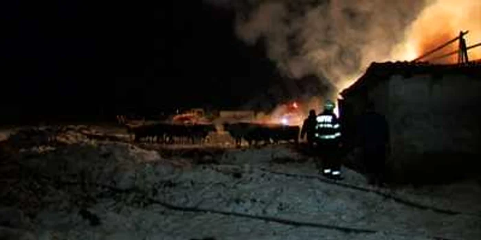 Multe dintre vitele aflate în grajd au fost salvate  de pompieri şi localnici                       FOTO: Iulian Bunilă