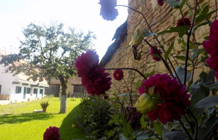 cloasterf haus