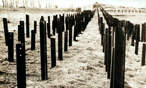 Obstacole antitanc dispuse în fața Liniei Maginot (© Profimedia)