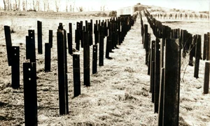 Obstacole antitanc dispuse în fața Liniei Maginot (© Profimedia)