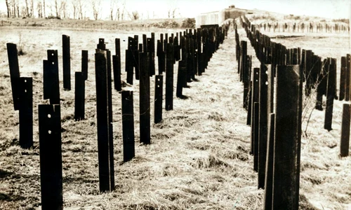 Obstacole antitanc dispuse în fața Liniei Maginot (© Profimedia)