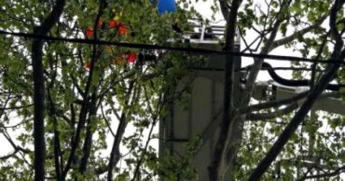 Suceava: Accident de parapantă în apropiere de Câmpulung Moldovenesc