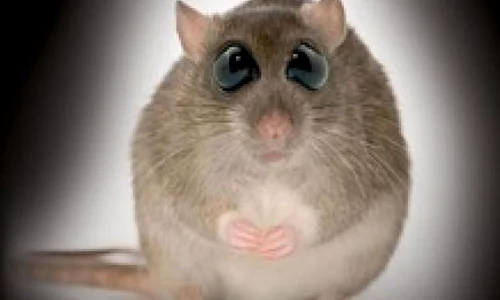 ”În întuneric”, la Muzeul Antipa jpeg