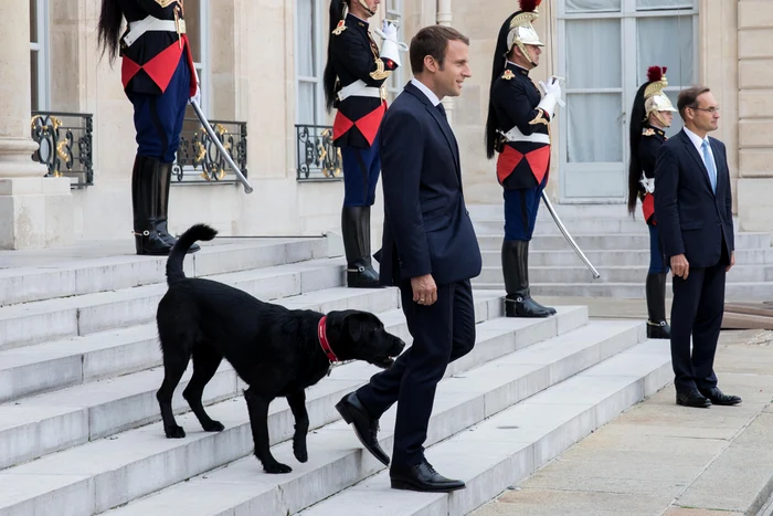 Emmanuel Macron și câinele lui GettyImages 840218318 jpg