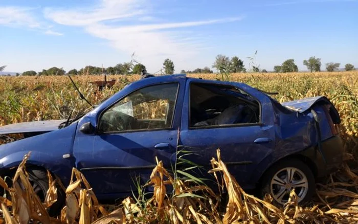 
    Un Logan a fost găsit într-un lan de porumb din județul VranceaFoto: adevarul.ro  