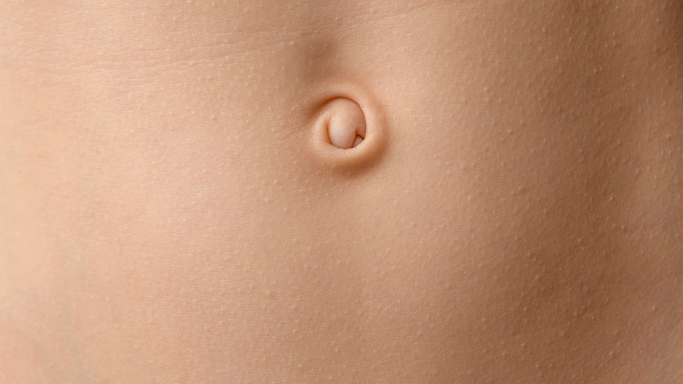 shutterstock 2582097885 jpg
