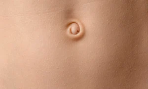 shutterstock 2582097885 jpg
