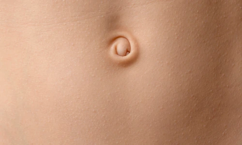 shutterstock 2582097885 jpg