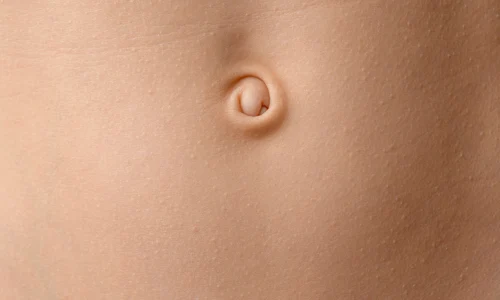 shutterstock 2582097885 jpg