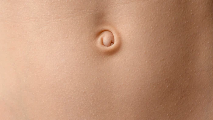 shutterstock 2582097885 jpg