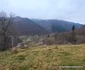 Vulcan, zona Dealu Babii Foto Daniel Guță ADEVĂRUL (7) jpg