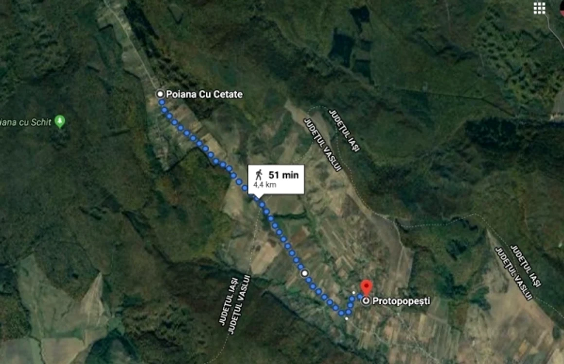 copii navestisti 
