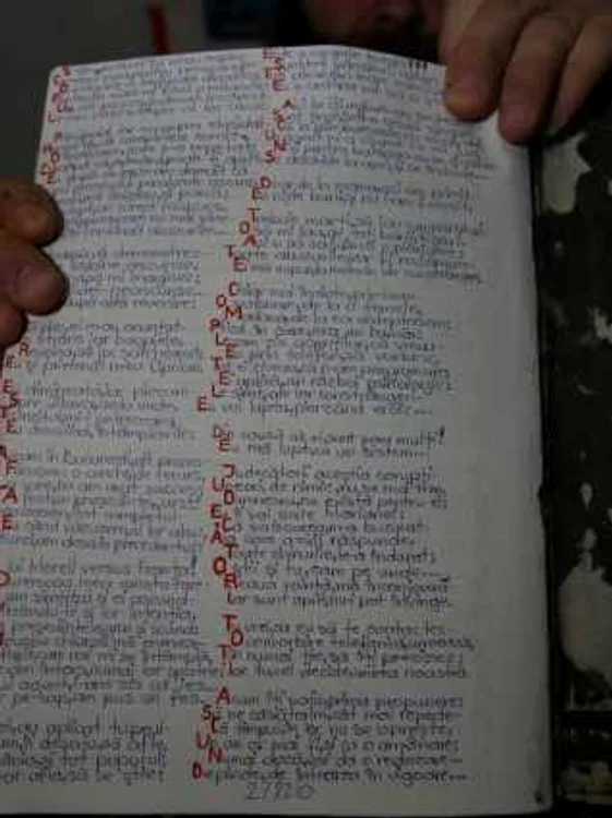 Pagina din poezia lui Florin Geanopol