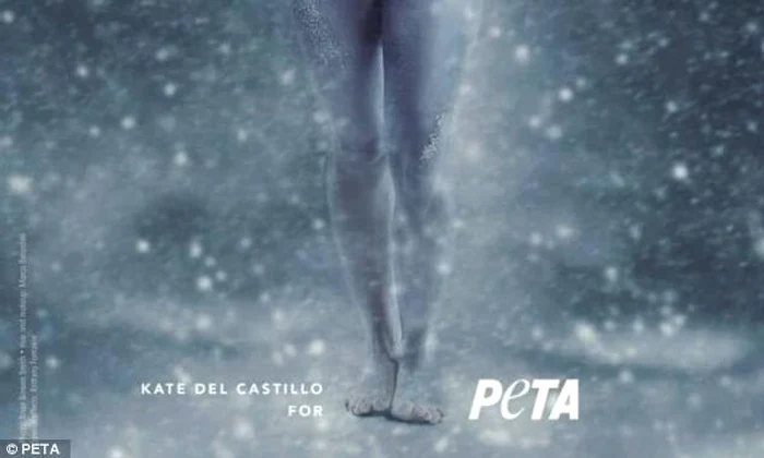 peta jpeg