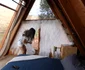 Cel mai căutat airbnb png